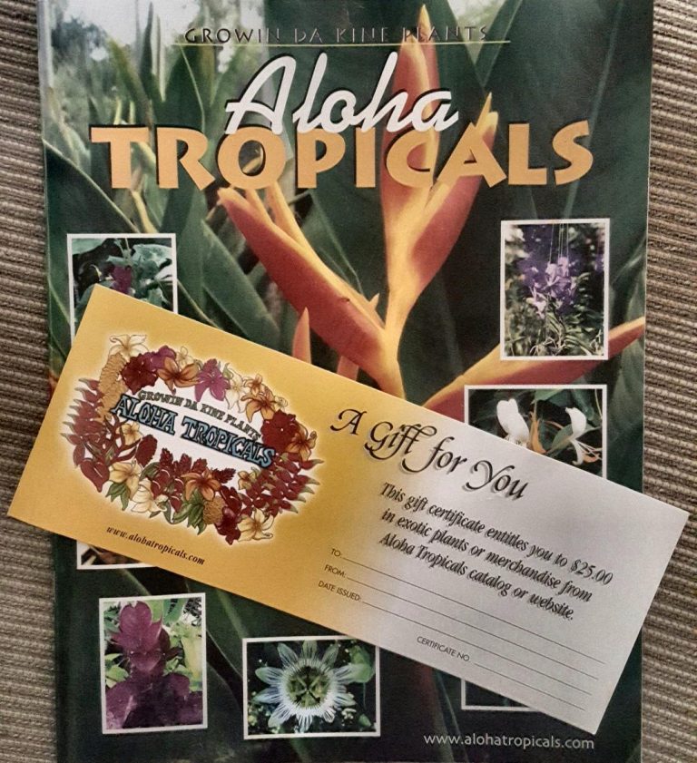 Gift Certificates Aloha Tropicals